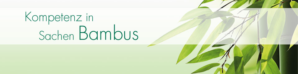 Kompetenz in Sachen Bambus